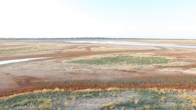 Пляж в станице Камышеватская смотреть онлайн