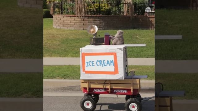 Aaron's Animals - Ice Cream Truck смотреть онлайн