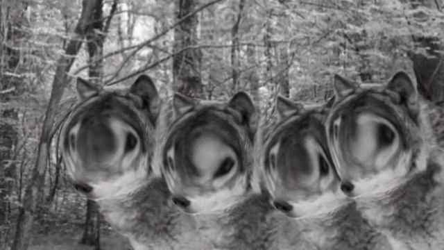 Апельсиновый сок