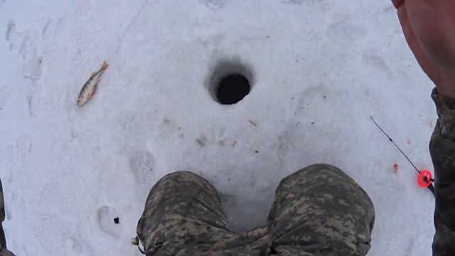 В КАЖДОЙ ЛУНКЕ ПО ОКУНЮ,А В ЭТОЙ ОДИН ЗА ОДНИМ.Рыбалка окунь на мормышку. смотреть онлайн