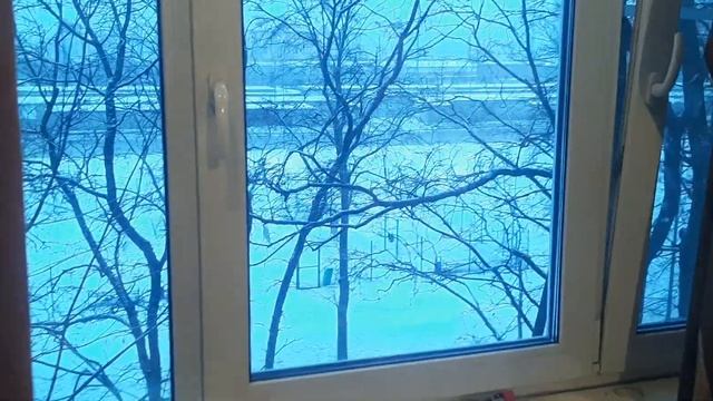 новогодний Квартирник жил был пёс Лабрадор Рей музейпса Иван Соколов #музейпса #YouTube Leo Ridge смотреть онлайн