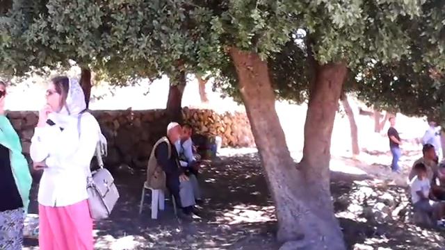 Молебен у Маврийского дуба. Хеврон. смотреть онлайн