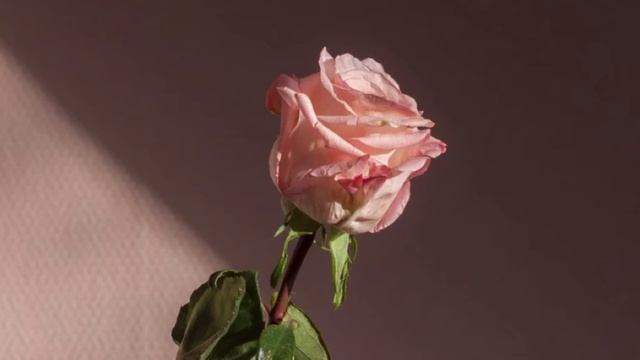 Медитация дыхание маткой - женственность смотреть онлайн