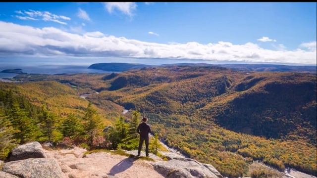 Pays de haut (Canadian reel), mandolins mandocello guitar смотреть онлайн