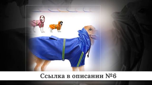 ТОП-10 Плащей для собак из китая #1 смотреть онлайн