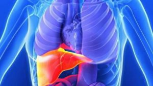 Что же творит ЦИКОРИЙ Уже После ОДНОГО приема?!!!