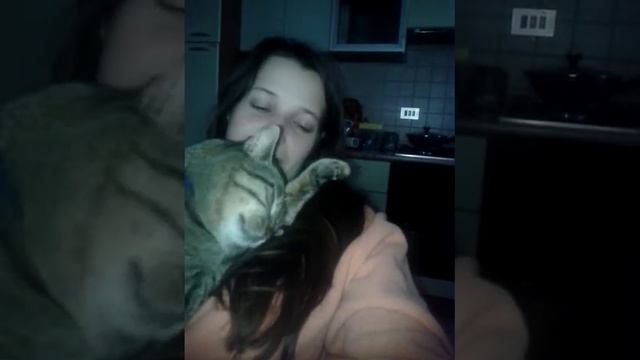 Sweet Cat смотреть онлайн