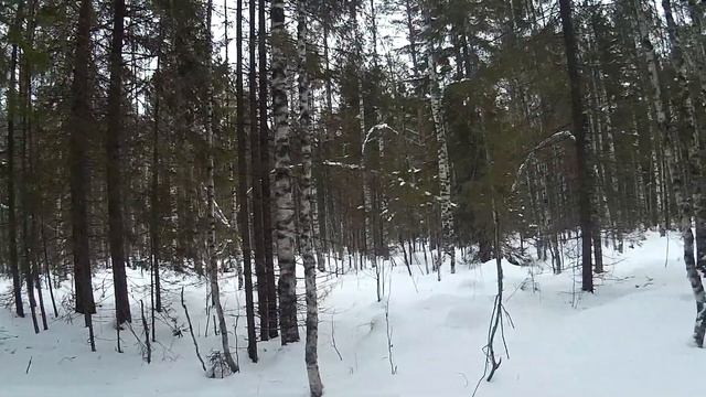 Охота на волка смотреть онлайн