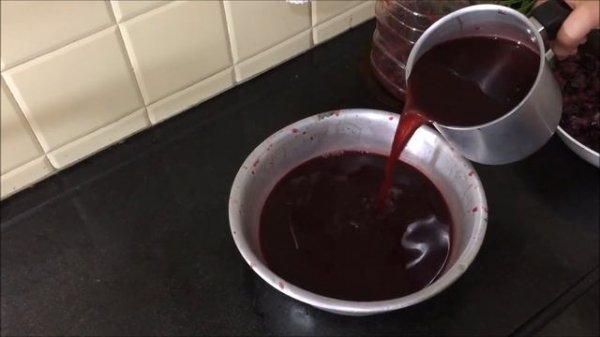 Como Fazer VINHO DE JABUTICABA