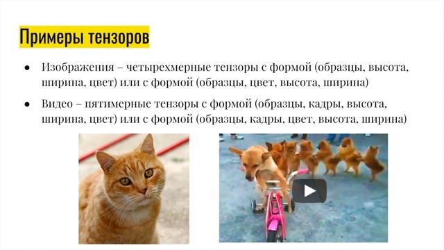2. Базовая математика нейронных сетей | Краткий курс по нейронным сетям смотреть онлайн
