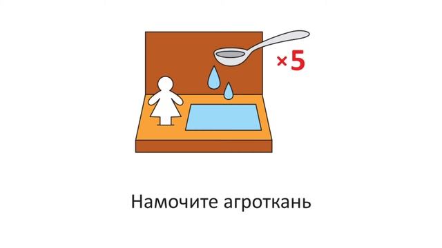 Happy Plant Обзор живой открытки "Вырасти удачу! (клевер) " смотреть онлайн