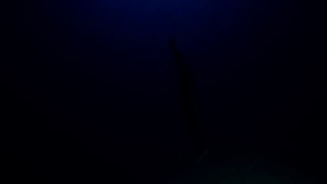 William Trubridge 101m CNF World Record Freedive смотреть онлайн