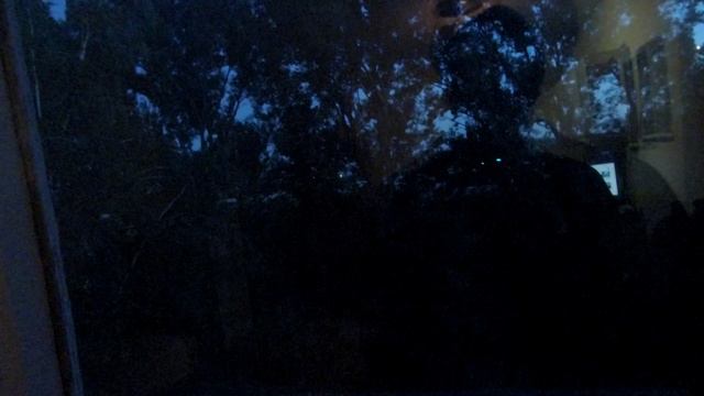 У собаки ПИРОПЛАЗМОЗ ( как я спасала свою собаку)