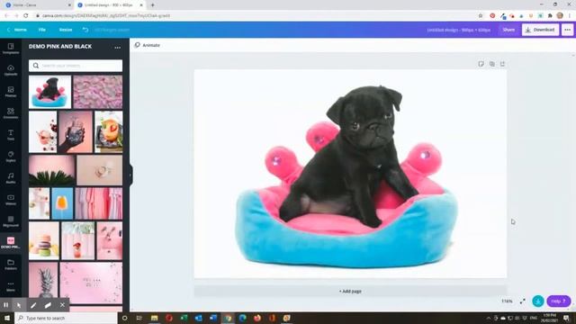 HOW TO RESIZE PHOTOS FOR WEB OPTIMIZATION IN CANVA смотреть онлайн