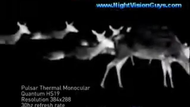 PL77314 Pulsar LD19S Thermal monocular смотреть онлайн
