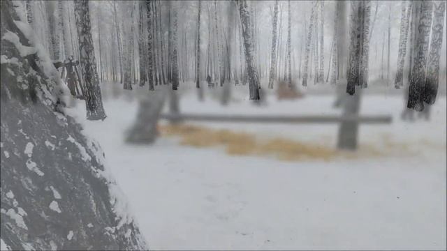 Поселок Трудармейский питомник В гостях у ХАСКИ 7 января 2021 смотреть онлайн