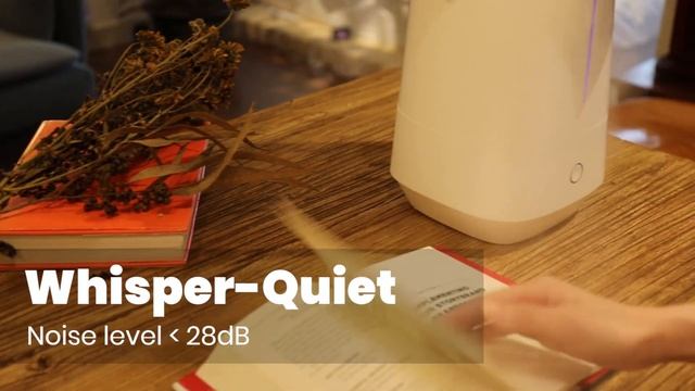 TOSOT Ultrasonic Cool Mist Humidifier смотреть онлайн