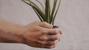 НЕ ПОКУПАЙ ЭТИ ВЕЩИ | 15 вещей которые я больше не покупаю