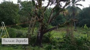 Стройка ДОМА, Штукатурим дом, Жизнь на Филиппинах