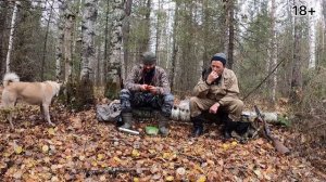 С лайкой по следу лося… Сильная вязкость Собаки по зверю.