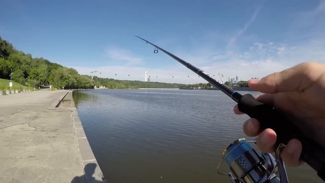 EVERGREEN Poseidon Squidlaw SSSS-84MH