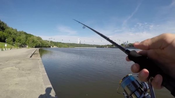 EVERGREEN Poseidon Squidlaw SSSS-84MH