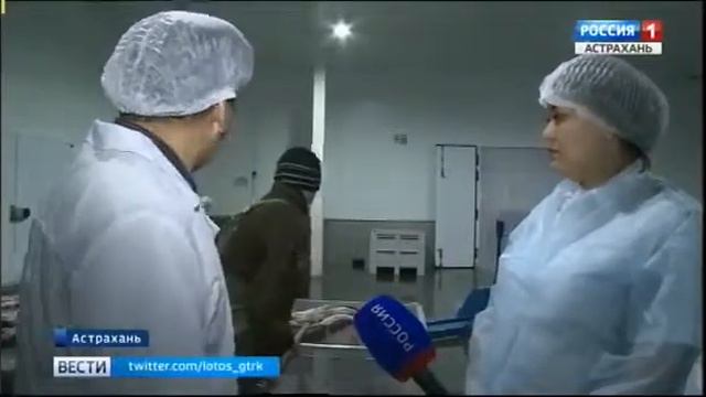 Об обследовании в городе Астрахани рыбоперерабатывающего предприятия смотреть онлайн