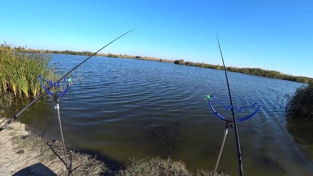 РЫБАЛКА .КОРМАК VS FLAT METHOD на РЕКЕ.Битва кормушек! смотреть онлайн