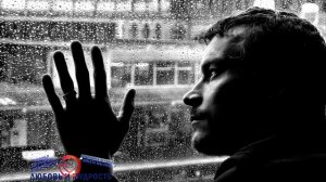 Желтый Чай Хельба польза и вред. Пажитник полезные свойства и противопоказания