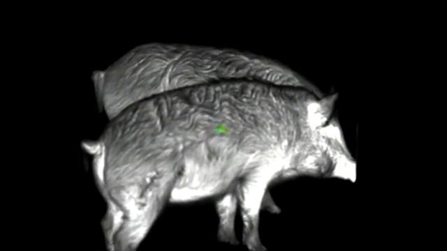 FORTUNA GENERAL ONE 6L. Тест качетва изображения смотреть онлайн