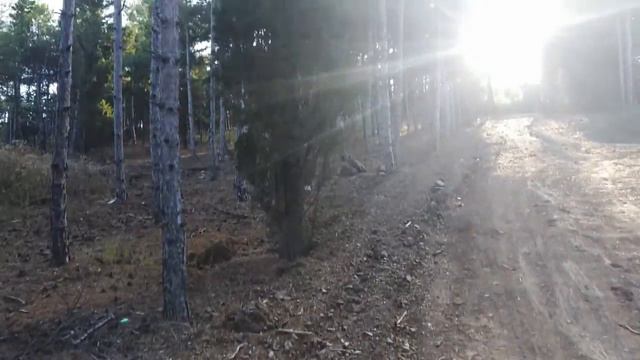 Купить элитный участок у моря с коммуникациями. Алушта. Семидворье. смотреть онлайн
