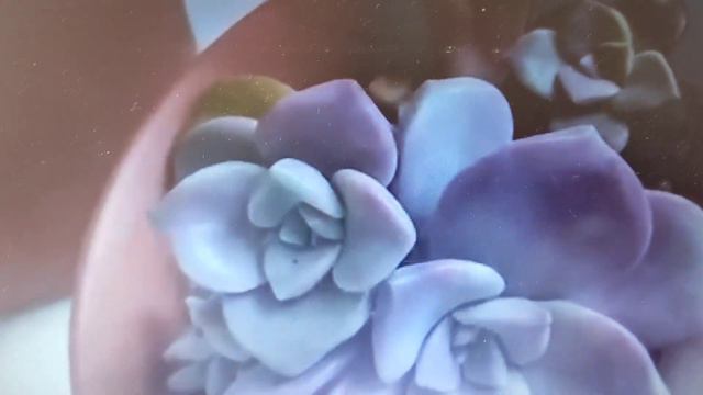 RETO MIS 10 PLANTAS DESEADAS DEL 2022💗🌷 смотреть онлайн