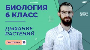 Дыхание растений. Урок 17. Биология 6 класс