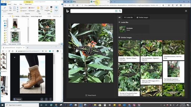 How to Reverse Image Search Using Bing search смотреть онлайн