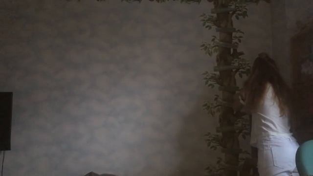 Фотосессия дома Создание Идеи смотреть онлайн