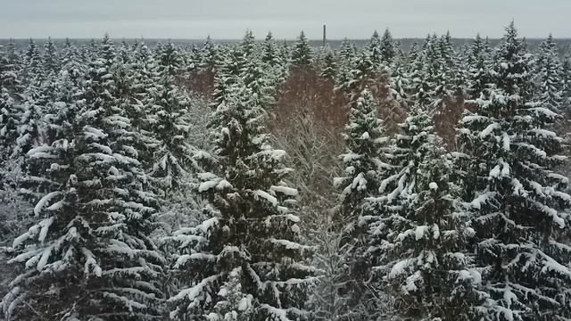 КАК СПАСАТЬСЯ христианам в XXI веке? Старец Фаддей Витовницкий смотреть онлайн