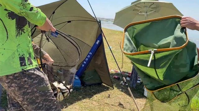 Рыбалка на Сырдарье 2022. Турнир по поплавочной ловле! смотреть онлайн