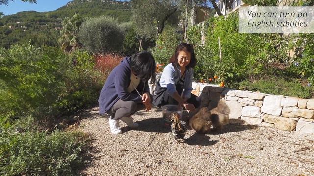 SUB/海外旅行vlog/夫婦旅行で、南仏コートダジュールへ/新鮮フルーツとハーブ狩り＆美味しいカクテル作り/自然を愛でるハイキング/cotedazur | GOROGORO KITCHEN