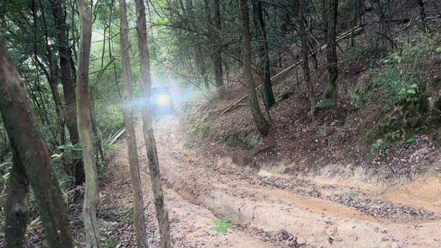 擁有20多台牧馬人的車主來越野，第一視角穿越成佛坡，JEEP的車確實很棒！【王成佛半山木屋农场】#jeep#牧馬人#越野#car смотреть онлайн