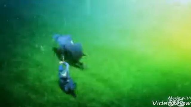 АНИМЕ КЛИП ПОД ПЕСНЮ "НЕДЕЛИМОЕ" смотреть онлайн