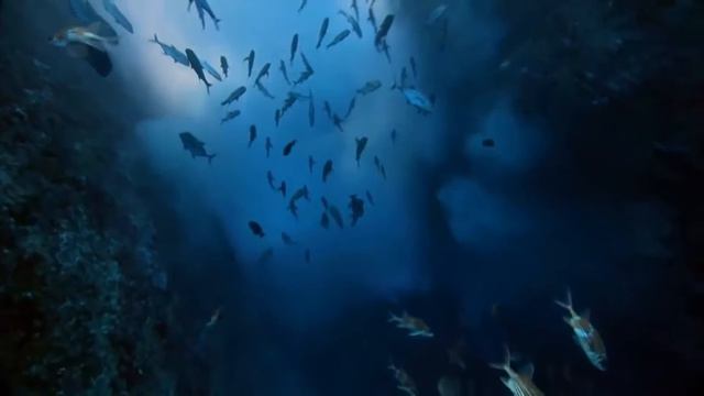 🐬 James Last Orchestra - Luciana 🐬 смотреть онлайн