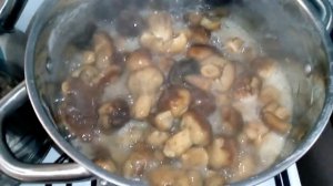 Засолка грибов на зиму. Как посолить валуи или кулачки?