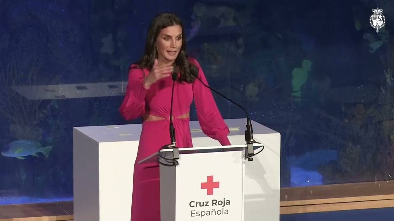 Palabras de S.M.la Reina en el acto del “Día Mundial de la Cruz Roja y de la Media Luna Roja” смотреть онлайн