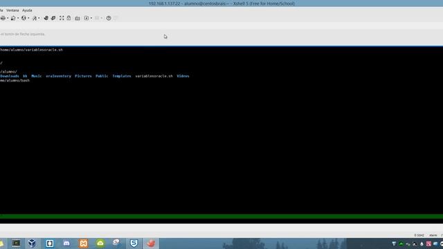Script to Export Oracle Variables at Boot смотреть онлайн