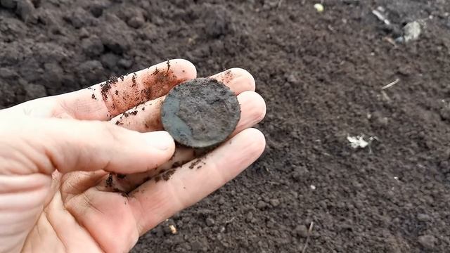 БАБУШКА БЫ НЕ ПУСТИЛА В ОГОРОД, УЗНАВ ЧТО Я НАЙДУ НА ГРЯДКЕ. Коп поиск монет металлоискатель смотреть онлайн