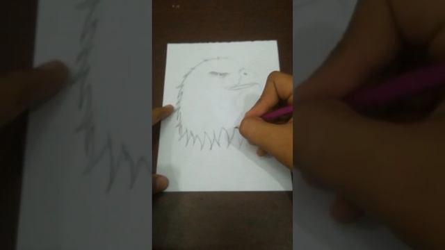 How to draw bald eagle in side pose drawing and sketch in paper full tutorial [ step by step ] смотреть онлайн