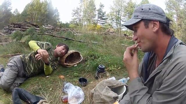 Студия Valhalla по грибы смотреть онлайн