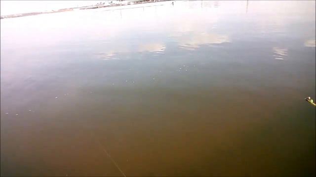 Казанка на поплавок / Дед дал протухшую прикормку смотреть онлайн