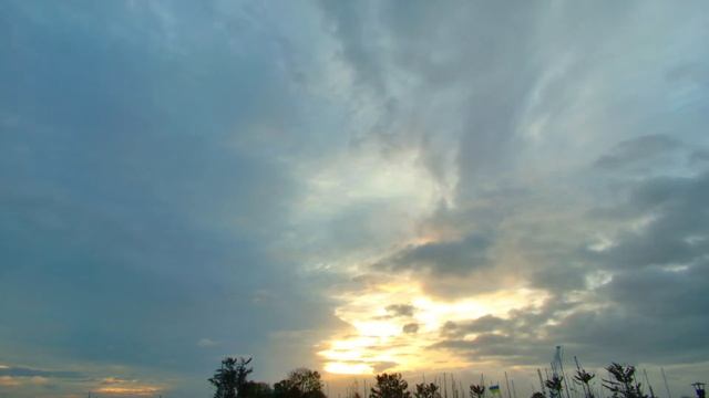 Sunrise Live смотреть онлайн