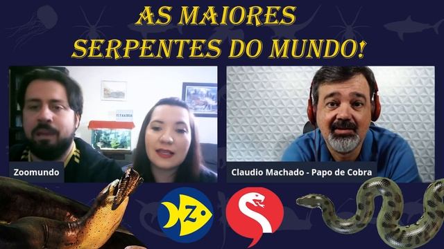 Titanoboa, Gigantophis, Anaconda e Píton: As maiores cobras do mundo! | Feat. @PapodeCobra смотреть онлайн